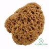 esponja natural para efeitos decorativos