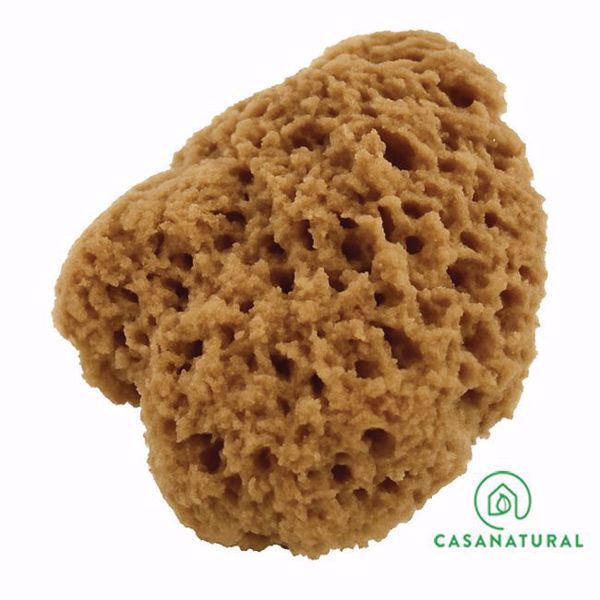 esponja natural para efeitos decorativos